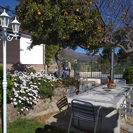 Casa Rural El Mirador De Acebo, 4 Estrellas, Piscina, Spa Eksteriør billede