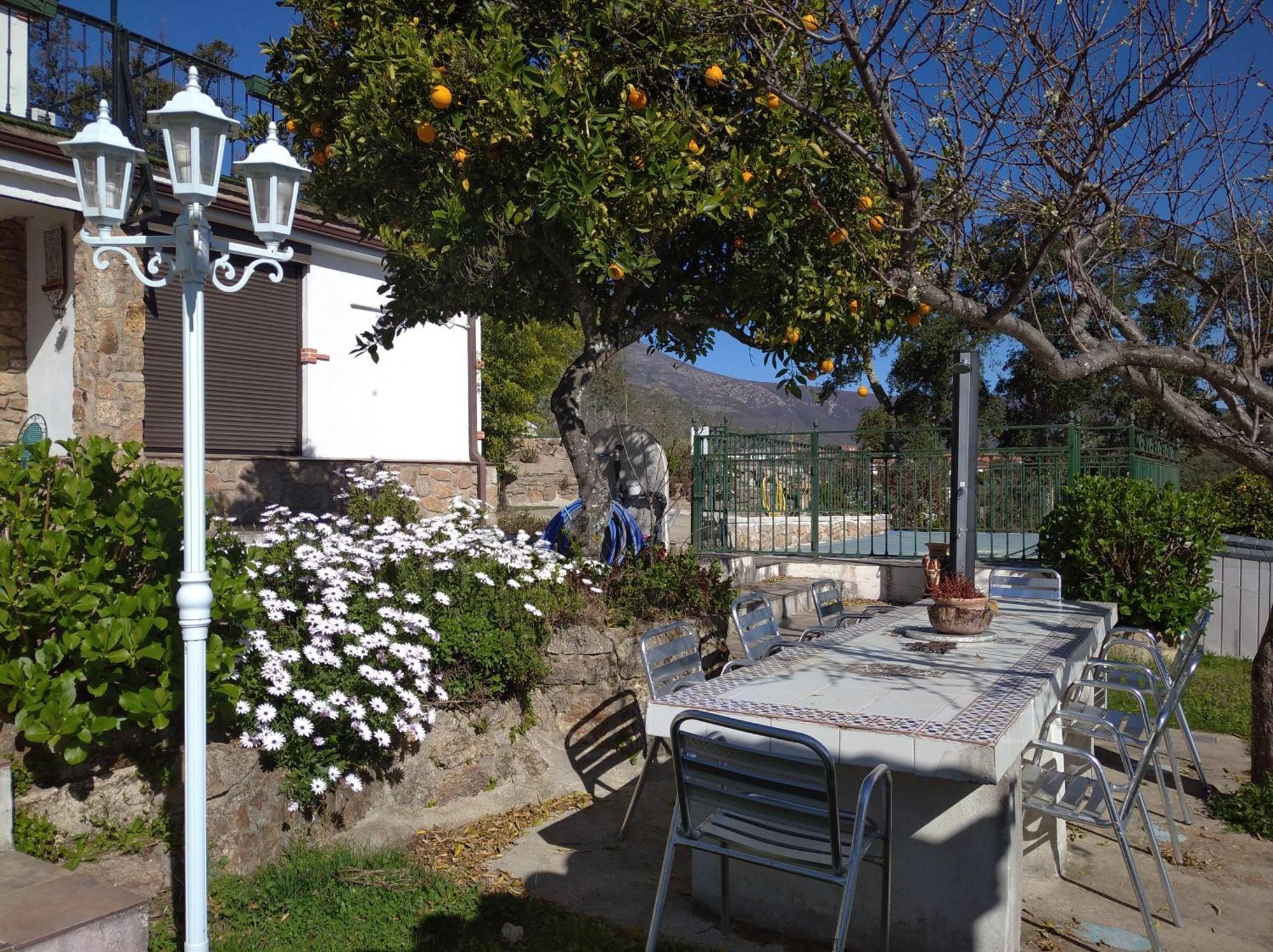 Casa Rural El Mirador De Acebo, 4 Estrellas, Piscina, Spa Eksteriør billede